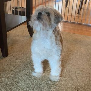 Meet your Posher, Rebekah